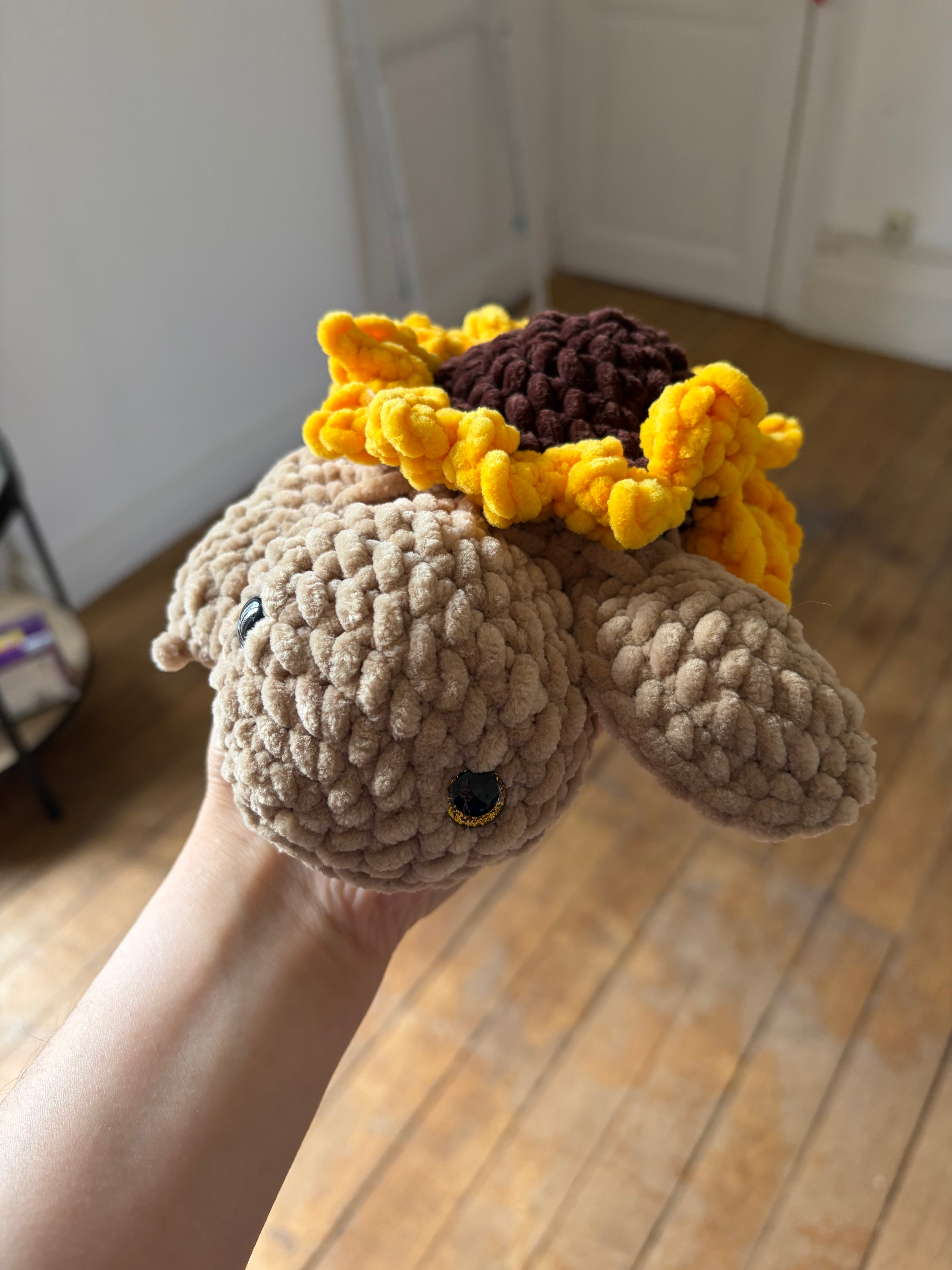Tortue tournesol